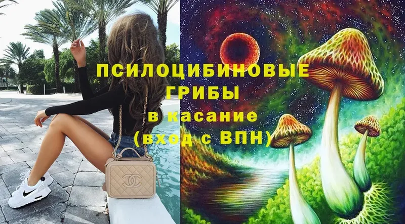 Псилоцибиновые грибы Psilocybe  магазин    Воткинск 